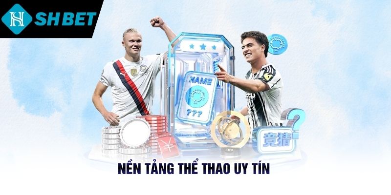 Nền tảng thể thao uy tín